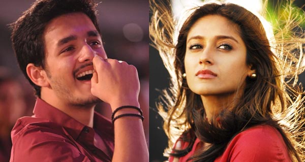 akkineni akhil,vinayak,iliyana,item song  అఖిల్‌ కు ఇలియానానే సెట్ చేసారు! 